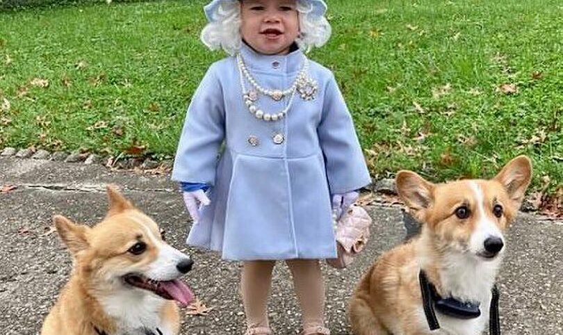Väike tüdruk poseeris koerte ja majesteetliku välimusega nagu kuninganna Elizabeth II thumbnail